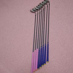 レディースアイアンゼクシオMP300