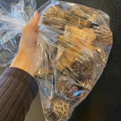 【受付終了】原木干し椎茸　100グラム以上