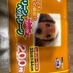 ペットシーツ　レギュラーサイズ200枚の画像