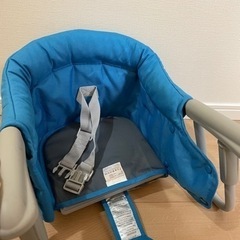 イングリッシーナ ファスト（トレー付き）の画像
