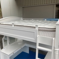 再出品　ベット　美品