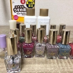 キャンメイクカラーネイルズ14色+リムーバー2+薄め液
