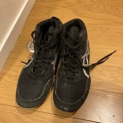 21.0ジュニア　レスリングシューズ