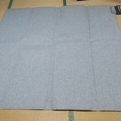 電子カーペット　敷物　無料　0円