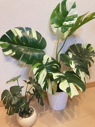 フェイク観葉植物、IKEAとニトリのもの