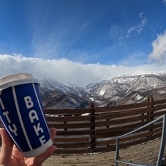 1月11日岩岳で滑ってくれる方募集します。
