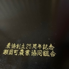 お盆　トレー　半月皿の画像