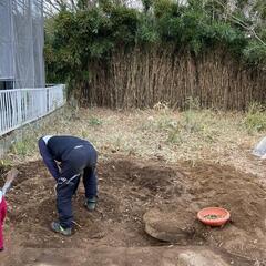 竹林開墾 心ばかりの報酬付けてみました