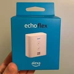 echo flex alexa 