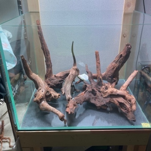 【水槽関連】流木