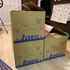【値下げ可能】ディズニーリゾート中古段ボール 大×11 小×2