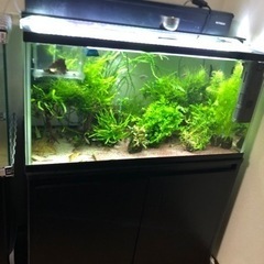 コトブキ90センチ水槽セット(熱帯魚、金魚)