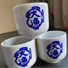 NMB48 門脇佳奈子 かなきち ビッグフィッシング 釣り おちょこ 日本酒 NMB48 門脇佳奈子 かなきち ビッグフィッシング 釣り おちょこ 日本酒