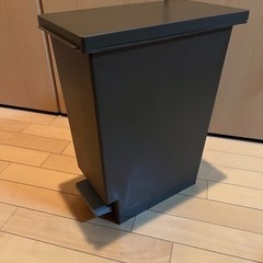 お渡し決定しました！【1月中に引き取りに来ていただける方限定】ニ...