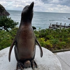 お友達作り♪