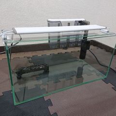 GEX 水槽　セットの画像