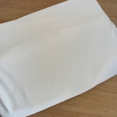 トゥルースリーパー　枕の画像