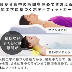 トゥルースリーパー　枕の画像