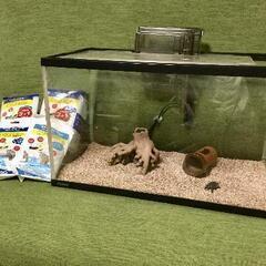 Tetra 水槽 アクアリウム セット 金魚 熱帯魚 メダカ