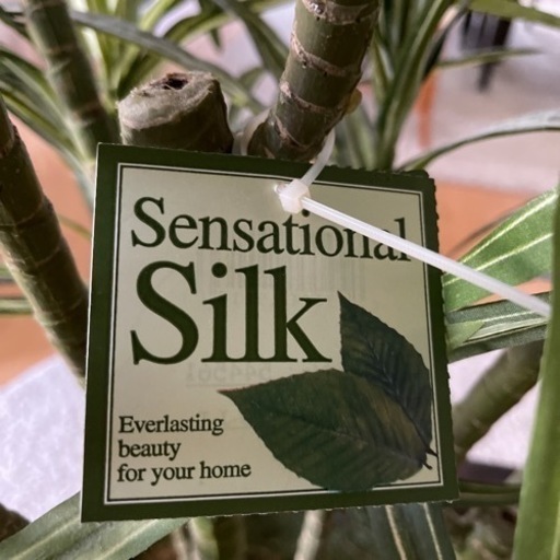 人工シルク観葉植物　(artificial silk plant)