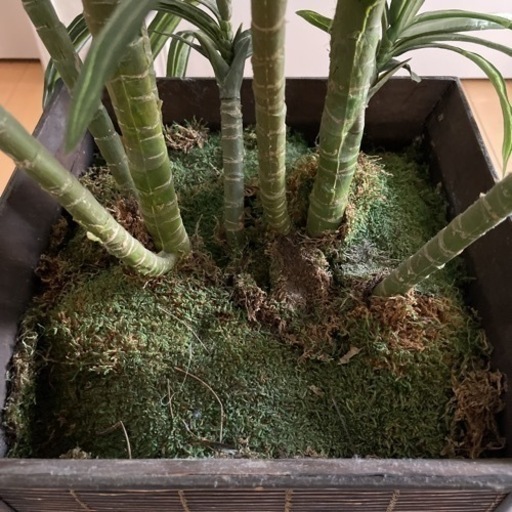 人工シルク観葉植物　(artificial silk plant)