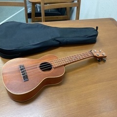 【1/11確約済み】【🏝新しい趣味にいかが？🏄‍♀️】ウクレレ