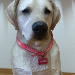 ラブラドール 置物の画像