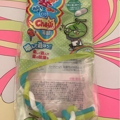 新品　犬　おもちゃ③