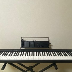 CASIO CDP-S100BK