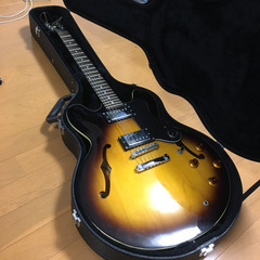 Epiphon DOT VS セミアコ 純正ハードケース付