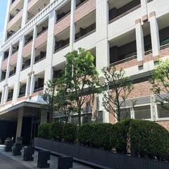 タワマン・29375679539852202　【【不動産アーカイ...