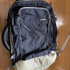 差し上げます。 手持ち、肩掛け両用バッグ　L.L.Bean製