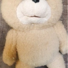 Tedの画像