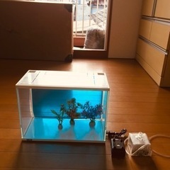 【お取引中】420 水槽 熱帯魚 メダカ 金魚