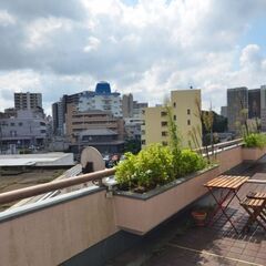 ★松戸歩14分のまあまあ安いシェアハウス★月額コミコミ43000円程度！★初期費用が安い★保証人が不要★家具付きの個室シェアハウス★アパート感覚で住む方が多いです★とにかく、安くてお手軽なアークハウス★ - シェアハウス