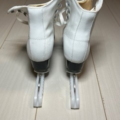 フィギュアスケート　20センチの画像