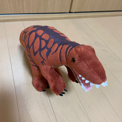 決まりました。ティラノザウルスのぬいぐるみ。福井県立恐竜博物館。の画像