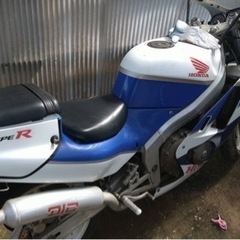 CBR250 ダイシンバナナ官
