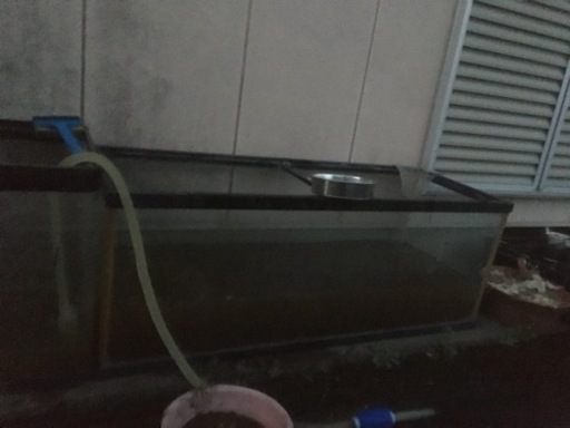 水槽