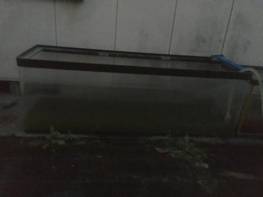 150cm水槽
