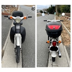 【受付終了】リトルカブ　C50-43****** 原付