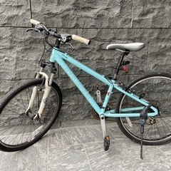 ルイガノAL6061