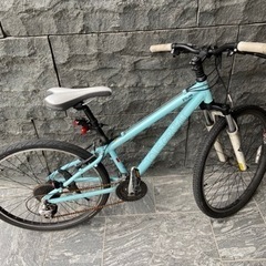 ルイガノAL6061の画像