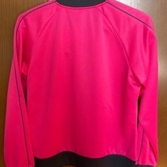 ディズニートレーナーの画像