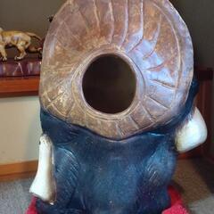 信楽焼　狸　置物の画像