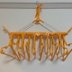 大和屋　リリワゴンの画像