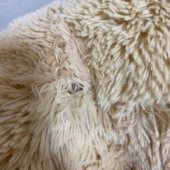 くまさんぬいぐるみの画像