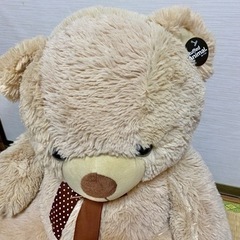 くまさんぬいぐるみの画像
