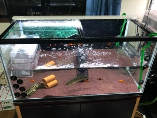 90cm水槽  水槽台 LEDライトセット