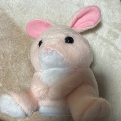 うさぎ